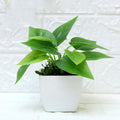 Potted Table Set Mini Ornaments Fake Plant Bonsai Home Living Room Indoor Green Plant Decorations Furnishings