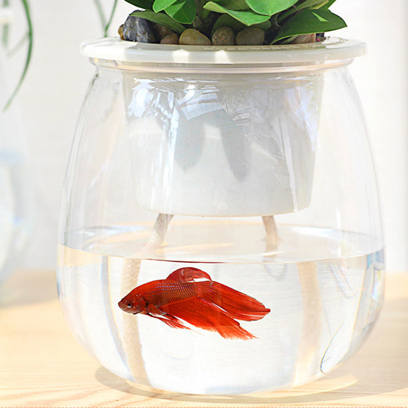 Self Watering Mini Round Design Succulent Plant Pot, Artificial plant, living room flowers, Decorative accessories