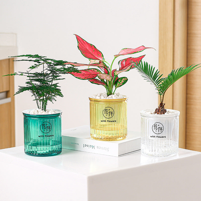 Self Watering Mini Round Design Succulent Plant Pot, Artificial plant, living room flowers, Decorative accessories